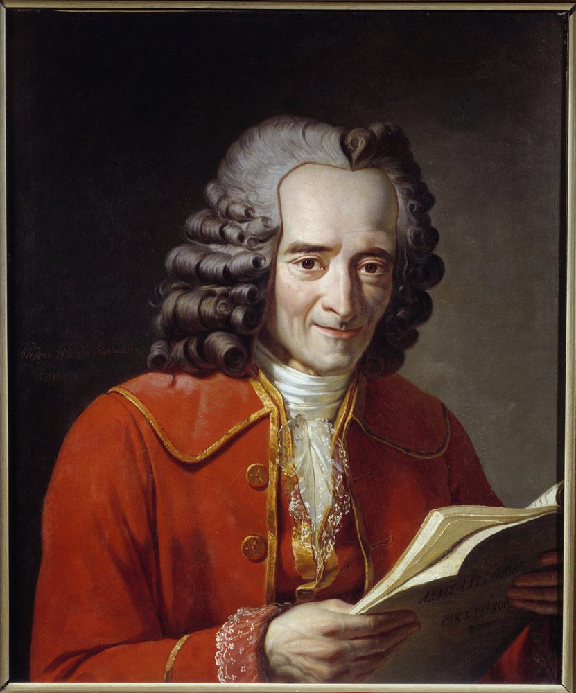 Voltaire revolutionary